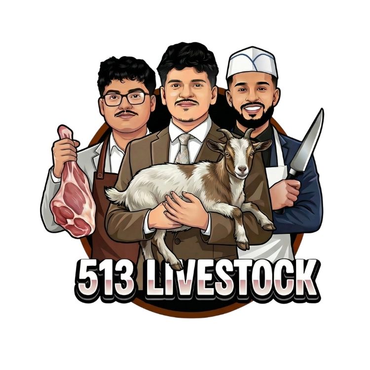 513 Livestock